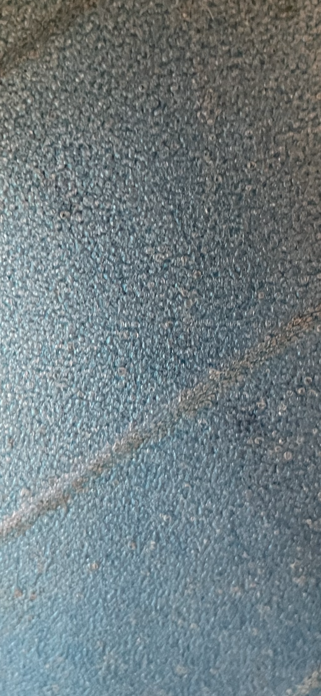 IMG_2637.PNG