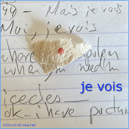 je vois